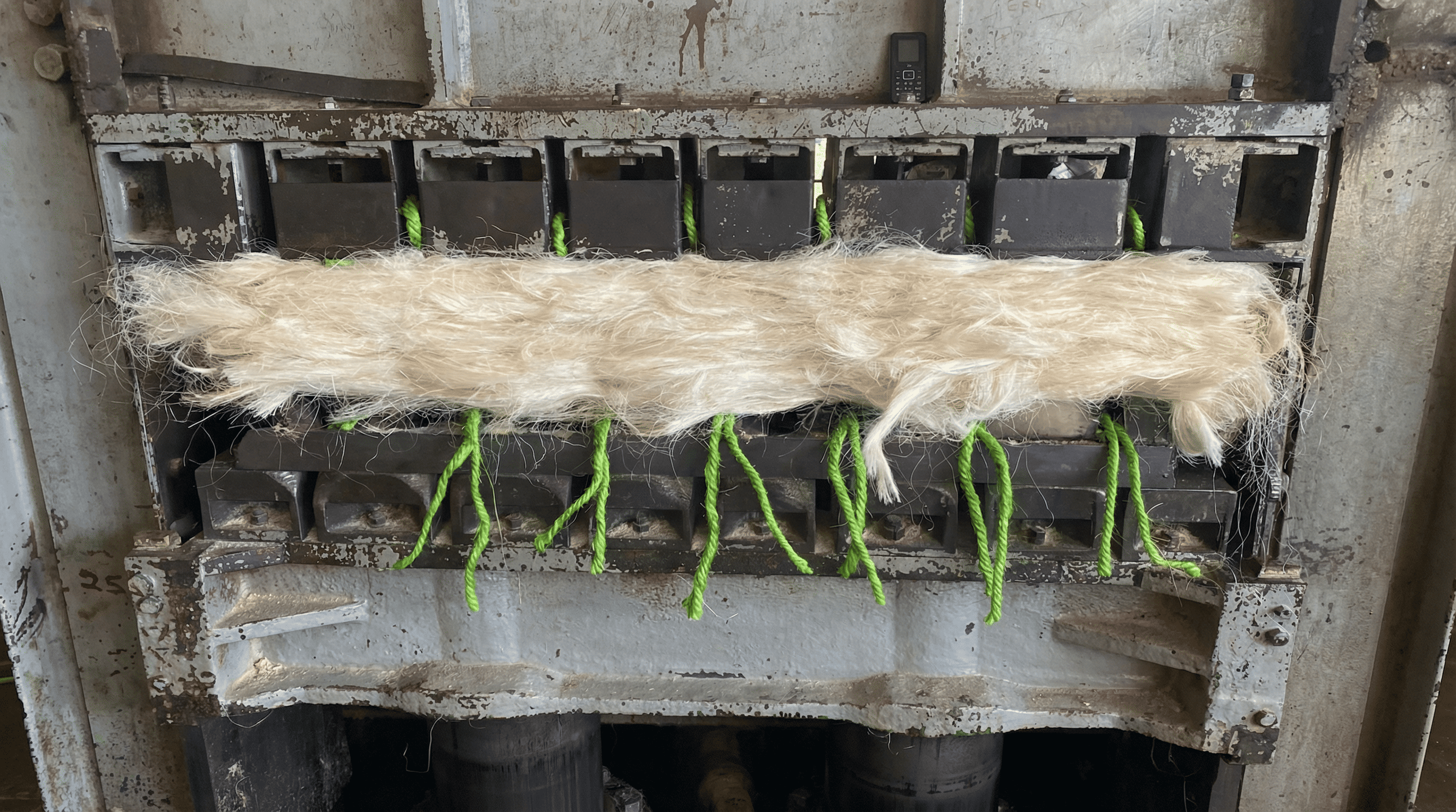 Fiber Packaging