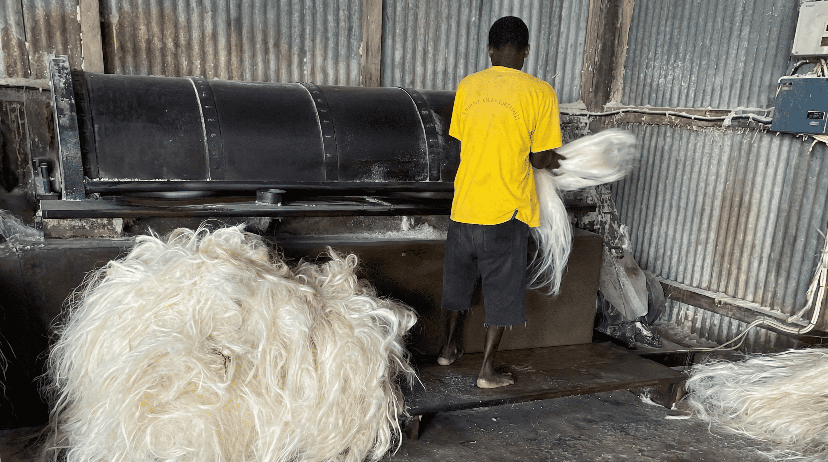 Fiber Polishing