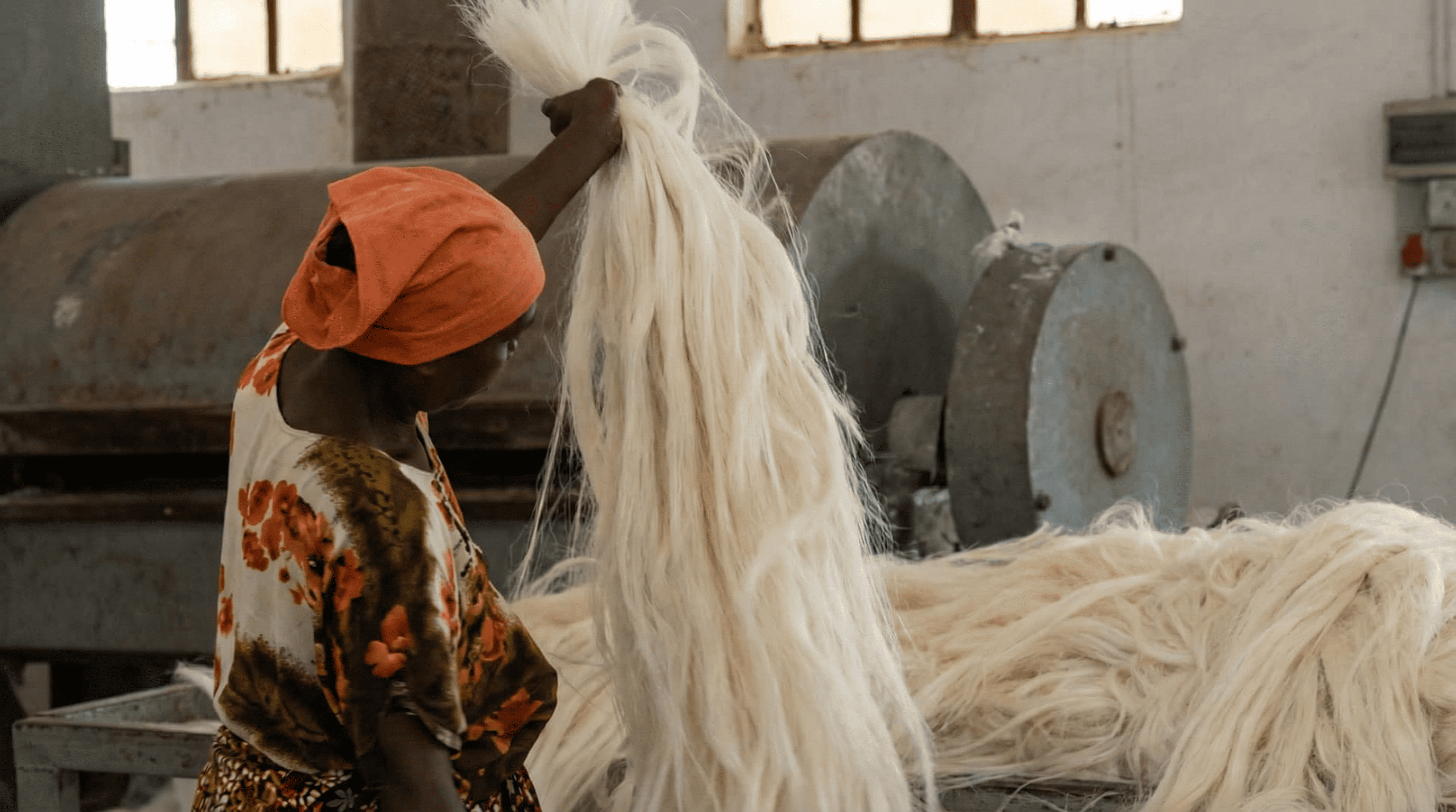 Fiber Sorting