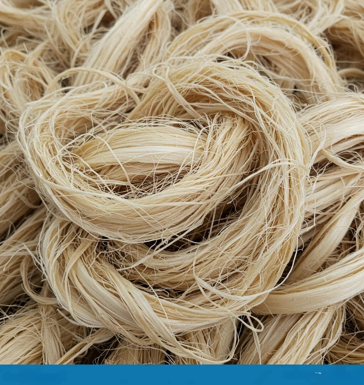 Premium Sisal Fiber Supplier Tanzania Sisal Yarn Products Exporter Premium Sisal Fiber Supplier Tanzania Sisal Yarn Products Exporter